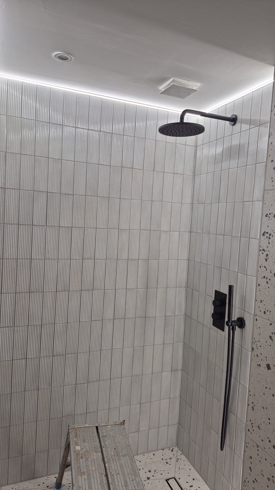 LED cove lighting and a downlight above the rainfall shower